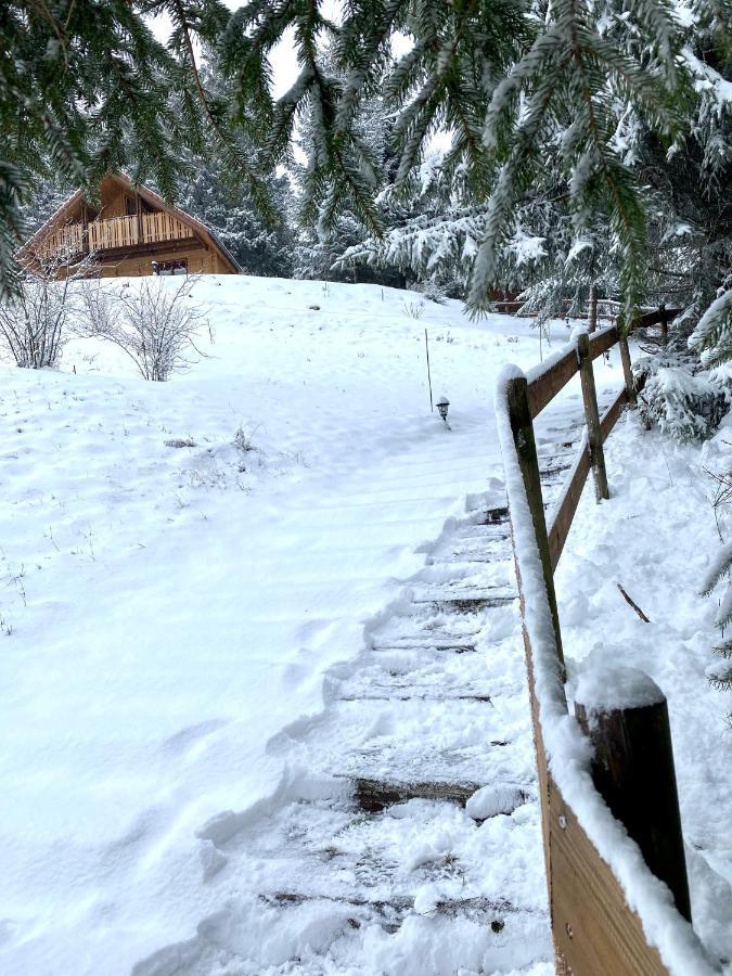 Chalet De La Grimpette Au Coeur De Gerardmer Luaran gambar